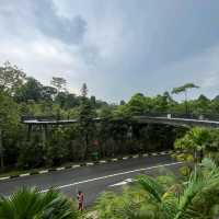 Botanical Garden Singapore