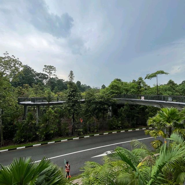 Botanical Garden Singapore