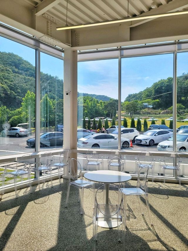 현시각 수국도 라벤더도 다 볼수 있는 양산카페💜