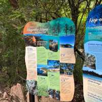 Magnetic Island Trip 