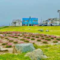 Discover Japan's Northern Edge