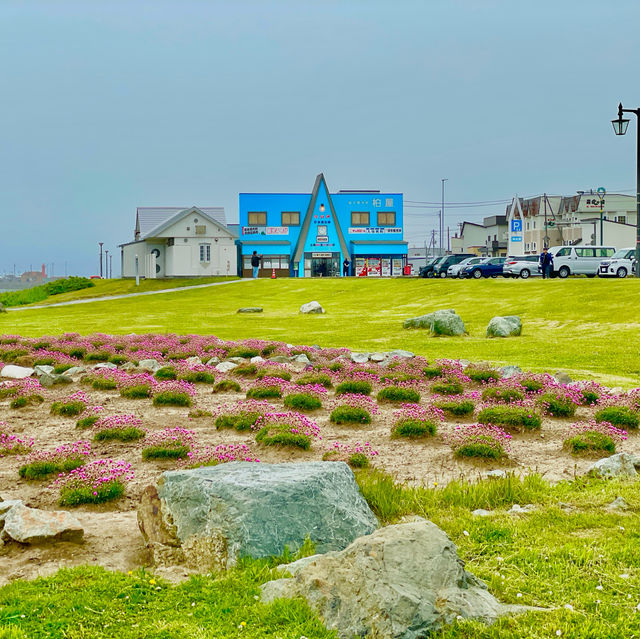 Discover Japan's Northern Edge