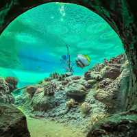 #อควาเรียมพัทยา Underwater World Pattaya อควอเรียม