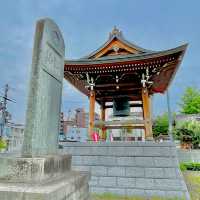 Tranquil Escape in Naritasanshinkyu-ji