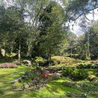 Escape to Spring Garden Kundasang 