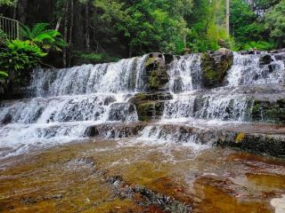 Liffey Falls