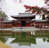 【京都観光】世界文化遺産