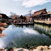 Serene Escape: Exploring Oshino Hakkai's Natural Beauty
