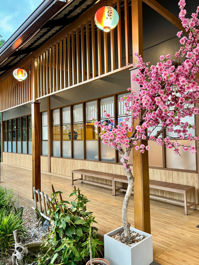 Oshinei 