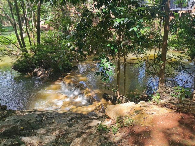 Assana Cafe At Khaoyai 