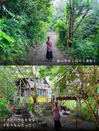 沖縄のやんばるの森を進むと見えてくる、秘密基地🌱