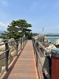 강원도 고성 BTS촬영지 산책하기🍀🌊
