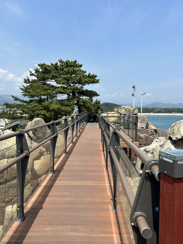 강원도 고성 BTS촬영지 산책하기🍀🌊