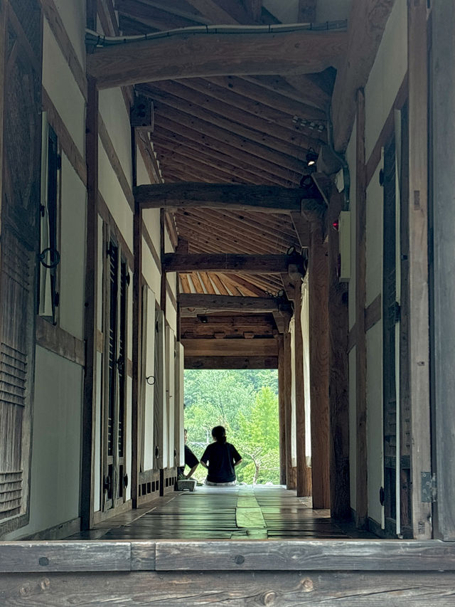 고즈넉한 한옥에서 자연을 보며 즐기는 여름휴가🧡