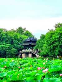 Most Popular Spot in Hangzhou
