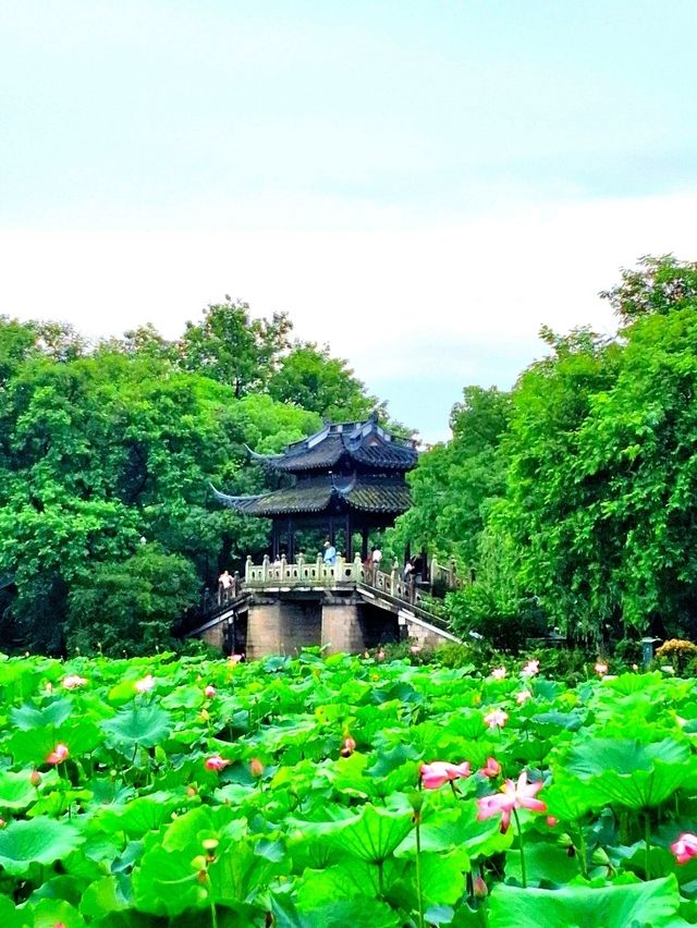 Most Popular Spot in Hangzhou