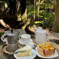 Kopi Hutan คาเฟ่ในป่าที่สูงที่สุดในปีนัง