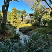 〜京都府〜人気スポット嵐山の世界遺産！天龍寺！