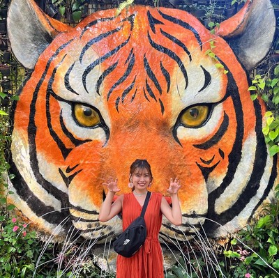 タイ】トラとツーショットを撮ろう📸！ | Trip.com メーリム 