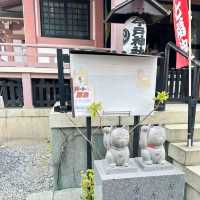 日本招財貓發源地 -不求財，求良緣！