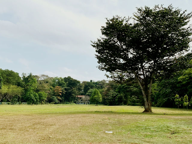 Changi Point Coastal Walk