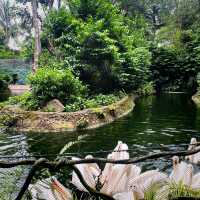 Singapore zoo