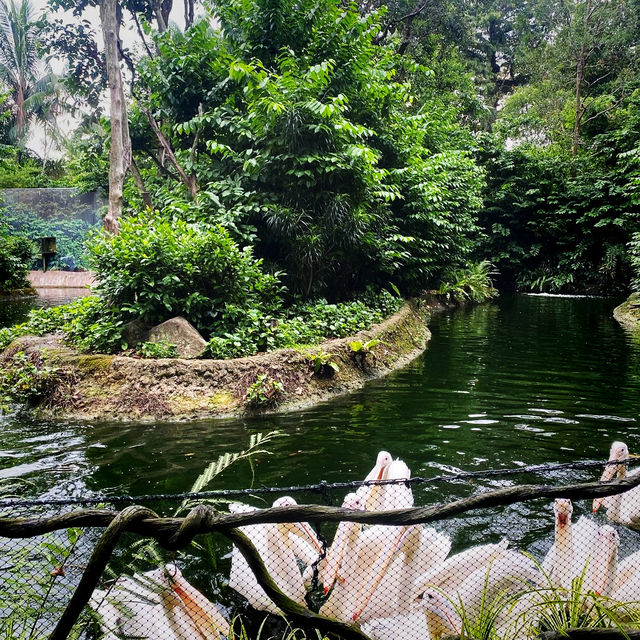 Singapore zoo