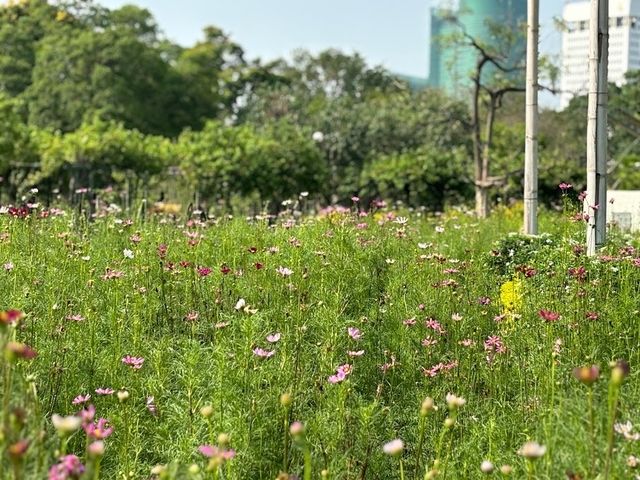 🌳สวนจตุจักร (BTS หมอชิต/ MRT จตุจักร)
