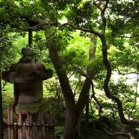 【🇯🇵京都】🍁息を呑む美しいリフレクション