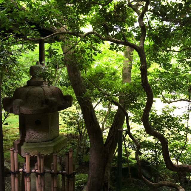 【🇯🇵京都】🍁息を呑む美しいリフレクション