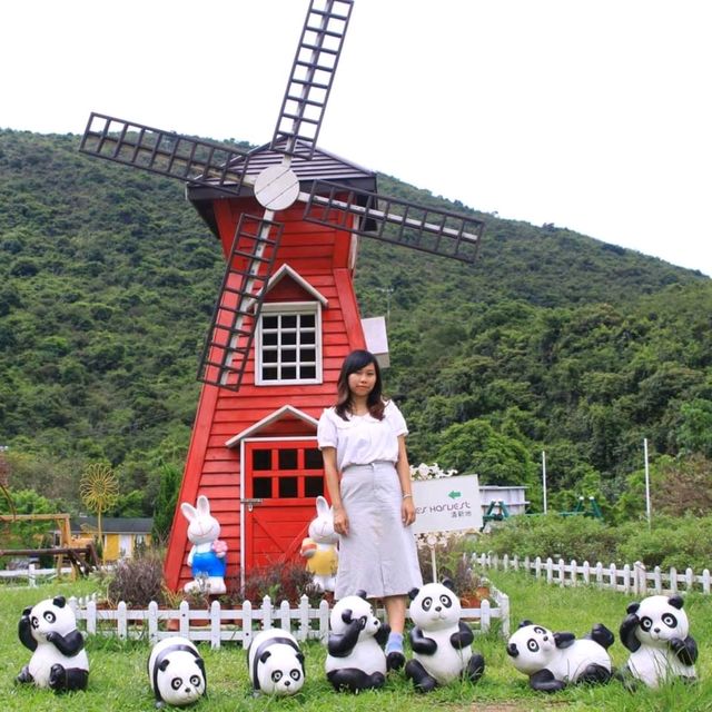 西貢清新地農莊遊