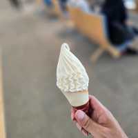 일본여행 북해도 신치토세 공항 新千歳空港