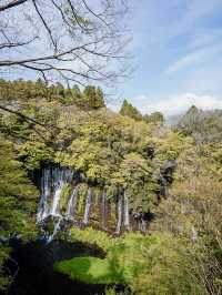 📍白糸の滝
