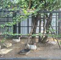 Antika Safari บรรยากาศสุดยอด