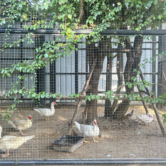 Antika Safari บรรยากาศสุดยอด