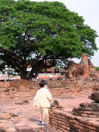 ขี่ช้างชมเมือง เดินเที่ยวโบราณสถานที่อยุธยา 
