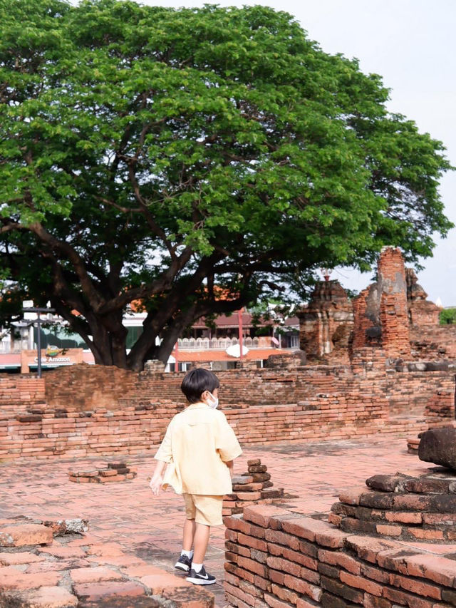 ขี่ช้างชมเมือง เดินเที่ยวโบราณสถานที่อยุธยา 