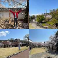 Kofu Castle is a Hidden gems in Japan 🇯🇵 