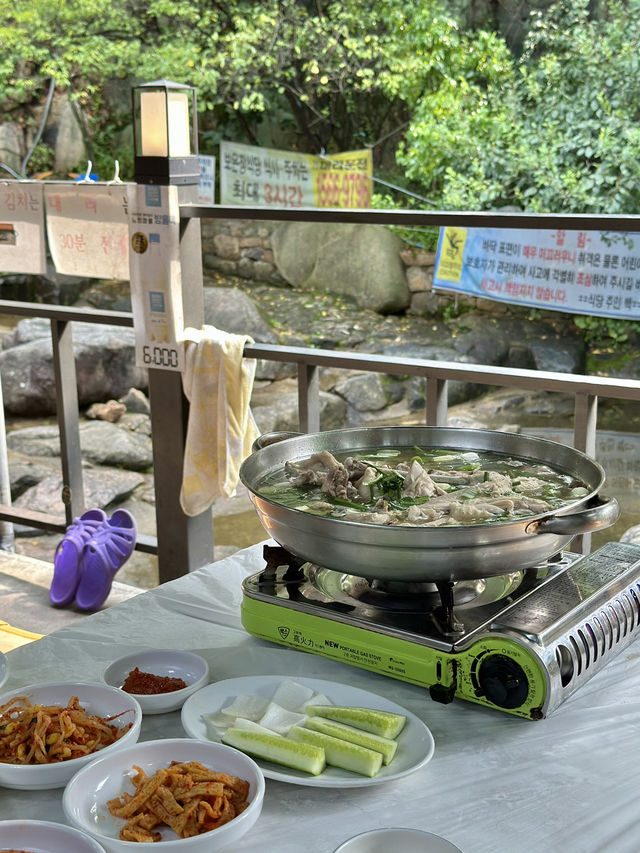 안양예술공원 계곡뷰에서 먹을 수 있는 백숙 🍗