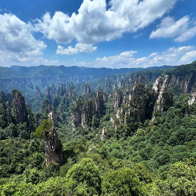 The Mystical Beauty of Zhangjiajie National Forest Park 