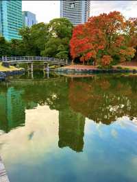 〜東京都〜オフィス街のど真ん中にある異世界公園！