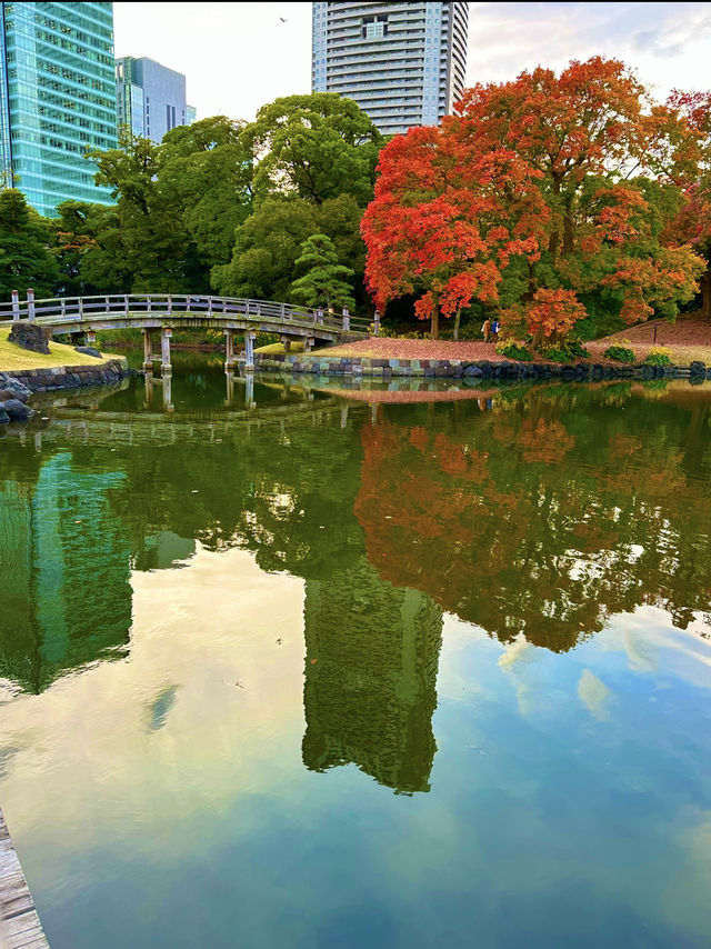 〜東京都〜オフィス街のど真ん中にある異世界公園！