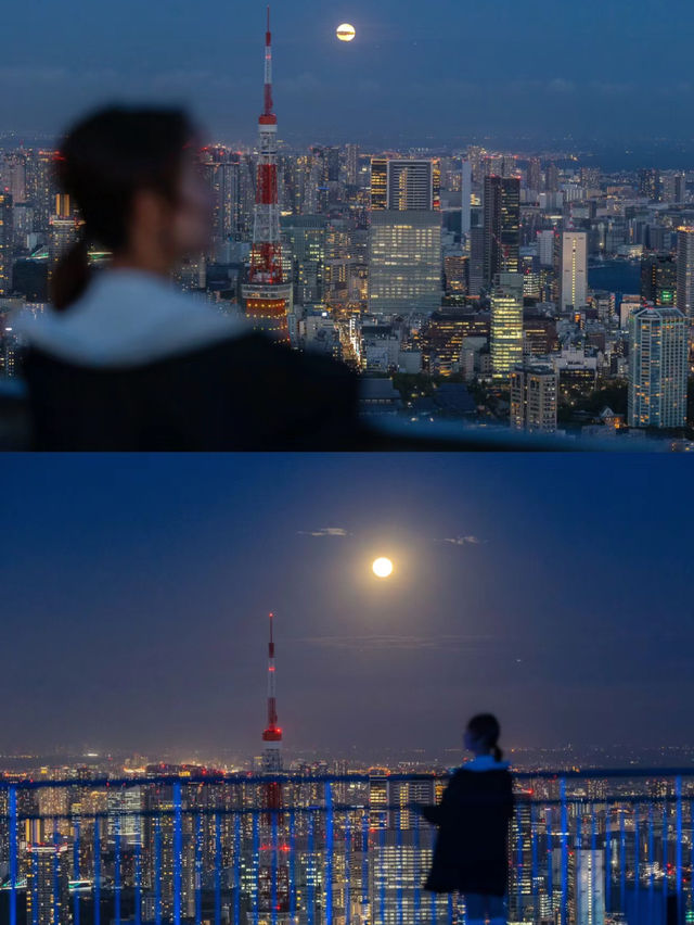 【東京鐵塔】最美拍照機位🏖️，適合白天和晚上🔥⭐️