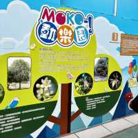 **Moko Park in Mong Kok: A Hidden Urban Oasis**