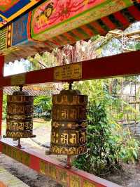 A Peaceful Day at Putuo Village