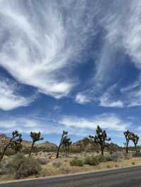 Joshua Tree National Park