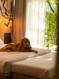 Peri Hotel Khao Yai