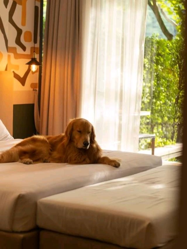 Peri Hotel Khao Yai