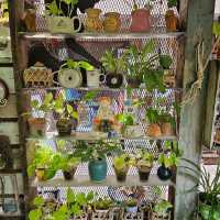 eight de klong