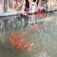 ～玄空法寺～美麗靜謐～